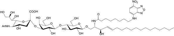 GM3 Labelled by NBD