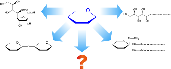 Carbohydrate-Related Compounds