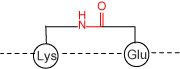 Cyclization at side chain