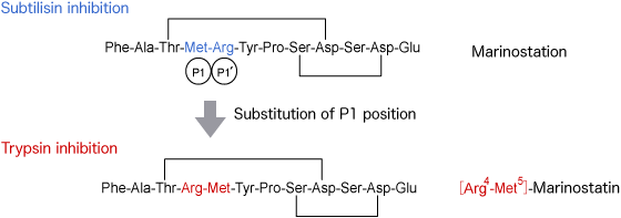 Peptidic Serine Protease Inhibitor as scaffold