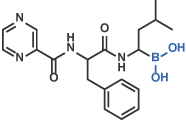 Bortezomib