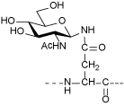 Glycopeptides containing monosaccharides
