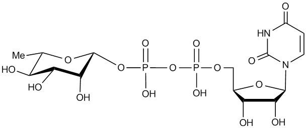 構造図UDP-β-L-Rhamnose