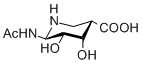 structure of Siastatin B