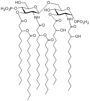 structure of Lipid A (E. coli)