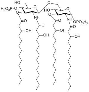構造図Lipid IVa