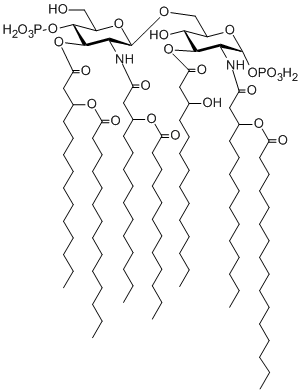 構造図Lipid A (Salmonella)