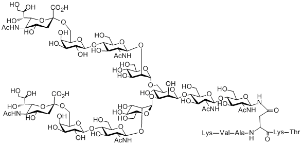 構造図Sialylglycopeptide