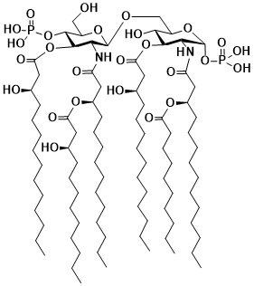 構造図Lipid A (Alcaligenes faecalis)