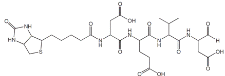 structure of Biotinyl-Asp-Glu-Val-Asp-H (aldehyde)