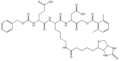structure of Z-Glu-Lys(Biotinyl)-Asp-CH2-DMB [Z-EK(bio)D-aomk]