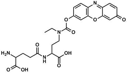 structure of LISA-101