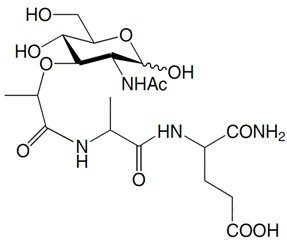 structure of Adjuvant Peptide
