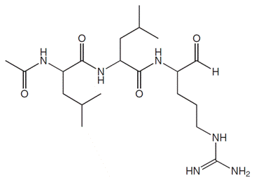 構造図Leupeptin