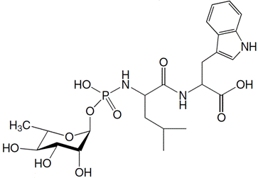 structure of Phosphoramidon