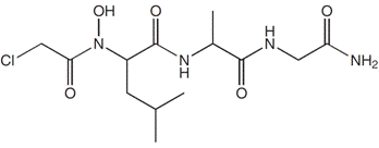 structure of Cl-Ac-(OH)Leu-Ala-Gly-NH2