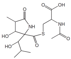 structure of Lactacystin