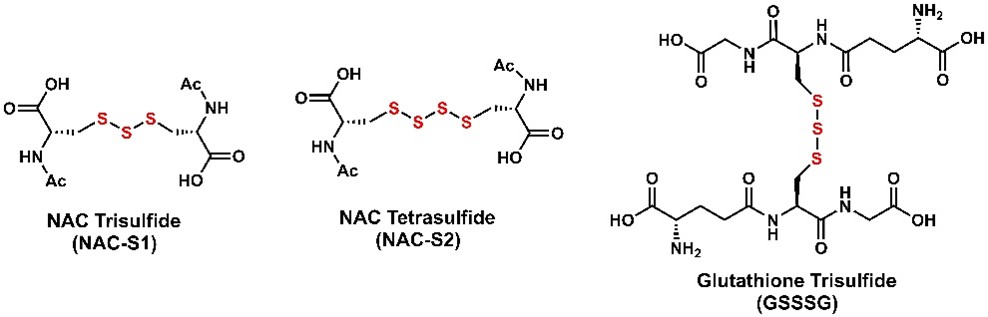 polysulfide-1