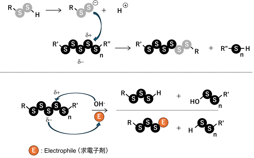 polysulfide-3