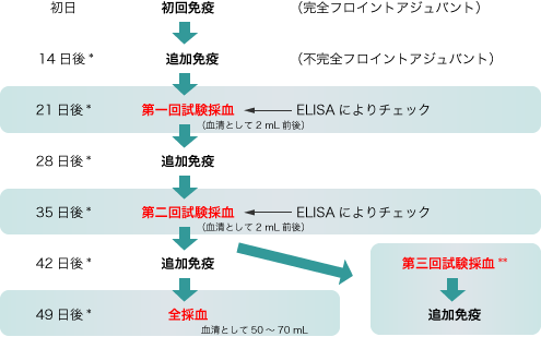 免疫スケジュール