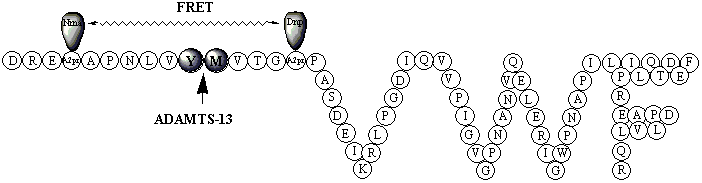 FRETS-VWF