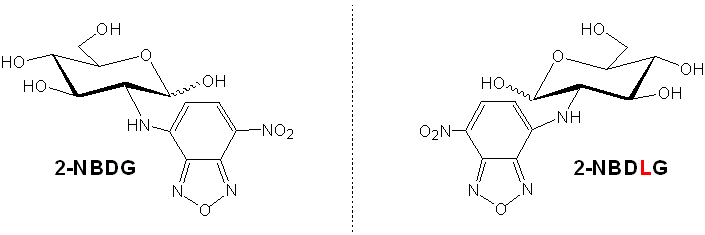 NBDG&NBDLG