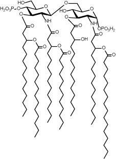 Lipid A