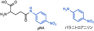 Glu(pNA)