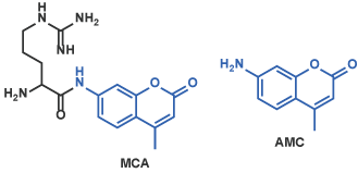 Arg-MCA