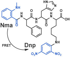 Nma-Phe-His-Lys（Dnp）