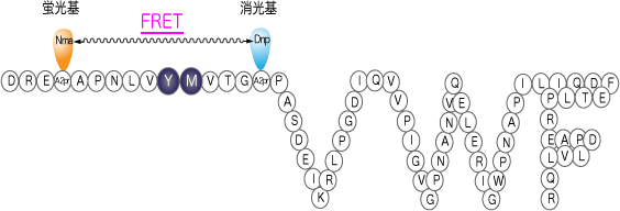 FRETS-VWF73