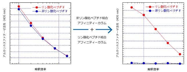 アルカリホスファターゼ活性グラフ