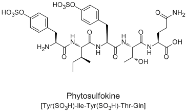 Phytosulfokine