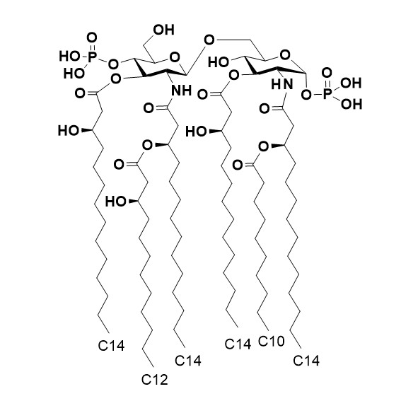 Lipid A (Alcaligenes faecalis)